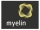 Myelin Media logo