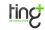 Ting Interactive logo