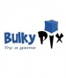 French publisher Bulkypix giving massive support to iPad