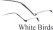 White Bird Productions logo