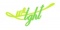 Lightweight Co. Ltd logo