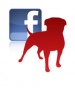Zynga slowly severing ties with Facebook to move on rival platforms