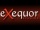 Exequor Studios Inc. logo