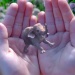 Report: Magic Leap eyes $500 million investment round which values it at $6 billion