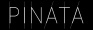 Pinata Studios Pte Ltd logo