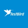 Chinese testing outfit Testbird signs IGS partnership for Korea and beyond
