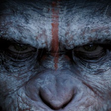 Fox faces $2.5 million lawsuit from Snail Digital over lack of support for War for the Planet of the Apes mobile games