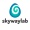 Skyway lab logo