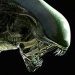 FoxNext Games reveals Alien: Blackout mobile game
