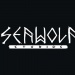 Seawolf Studios on starting out as an indie developer straight out of university