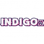 IndigoX 2019