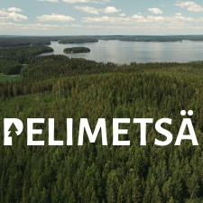 Games industry supports Finnish Natural Heritage Foundation with a record-breaking half-million Euros