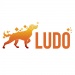 Ludo AI reveals mobile-friendly website for AI-powered game development