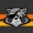 Raccoon Logic logo