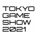 80 titles picked for indie games exhibit at Tokyo Game Show 2021