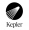 Kepler Interactive logo