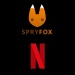 Netflix expands gaming arm with addition of indie studio Spry Fox