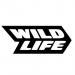 Wildlife Studios lays off almost 300 staff in Brazil and Argentina
