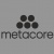 Careers Spotlight: Metacore