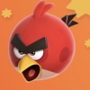 Rovio launches two new educational Angry Birds games to make learning fun