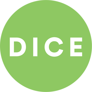 DICE Summit 2027