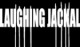 Laughing Jackal