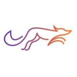 Nimble Fox Games