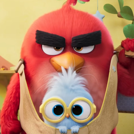 The Angry Birds Movie 3 gets full reveal with family dynamic