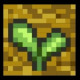 The Mandragora Team
